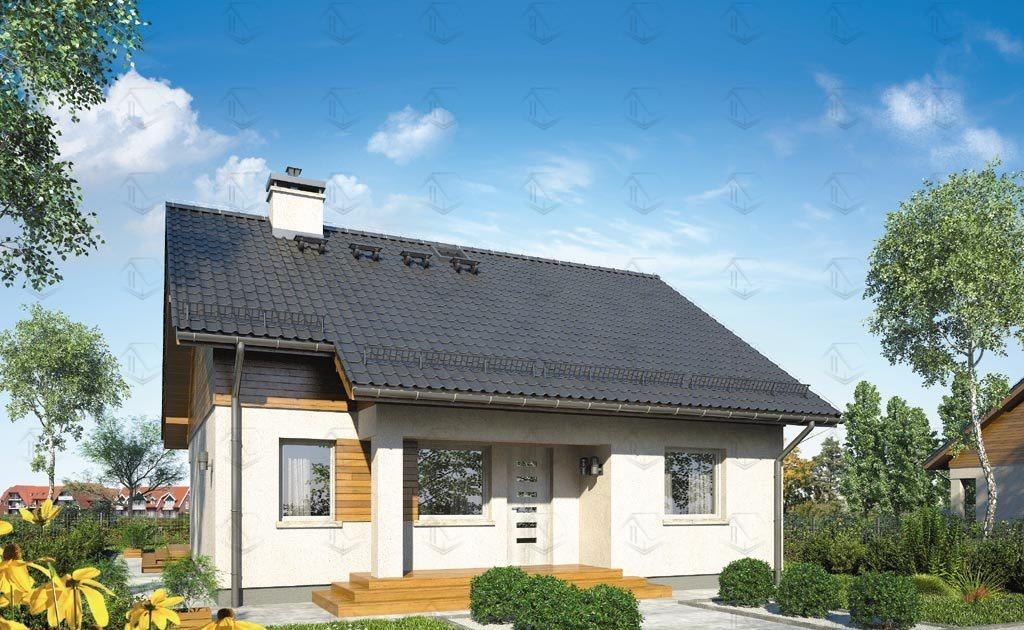 Одноэтажный дом 135 м², Арт. 1-144, фото 1