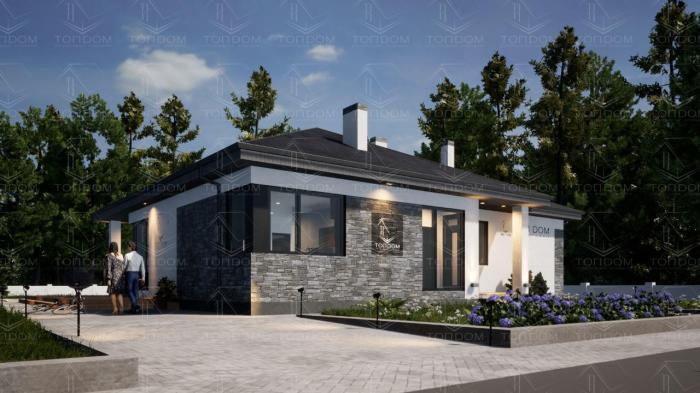 Фото проекта ТопДом Арт. 1-221 площадью 164 м²